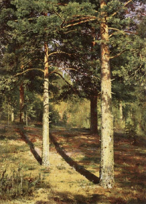 Pine Wood Illuminated by the Sun, Ivan Shishkin